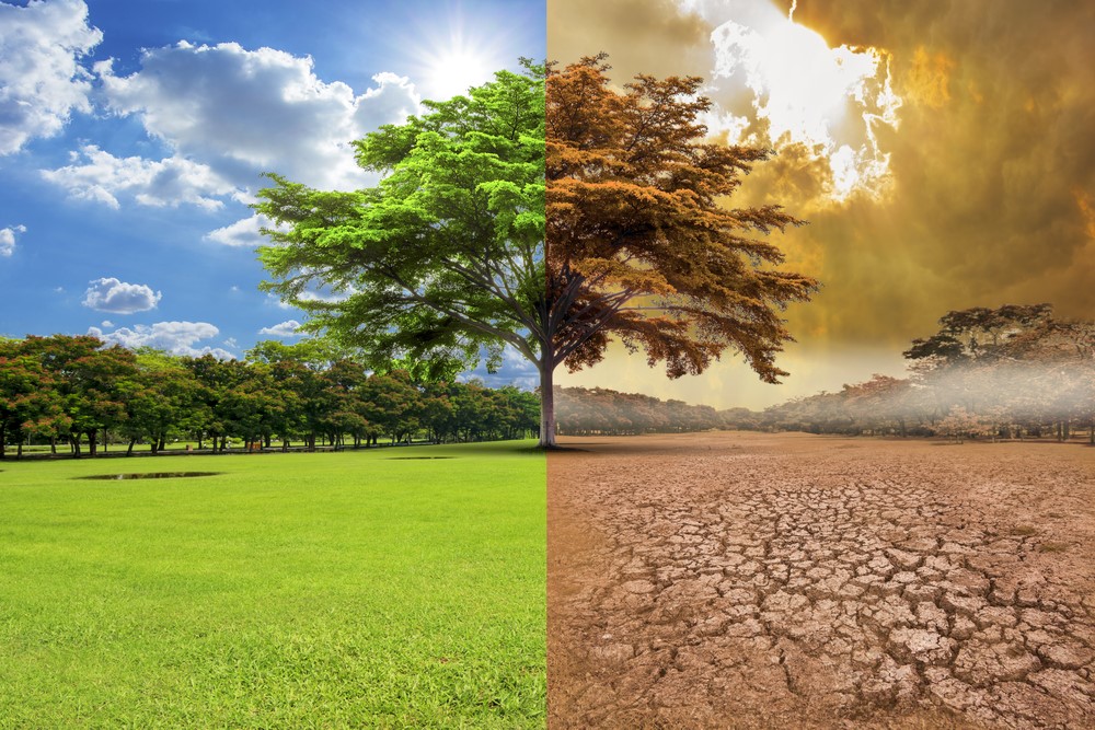 Resguardar el azul del cielo: Cambio climático y el desafío político 