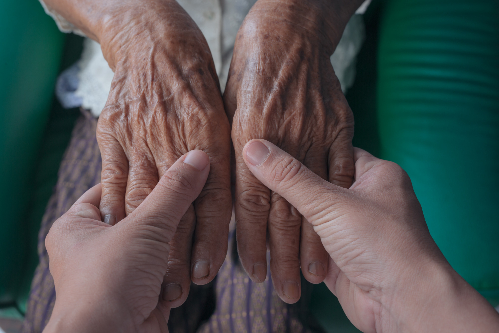 Innovación en la Gestión Pública centrado en la Asistencia Social para Personas Mayores